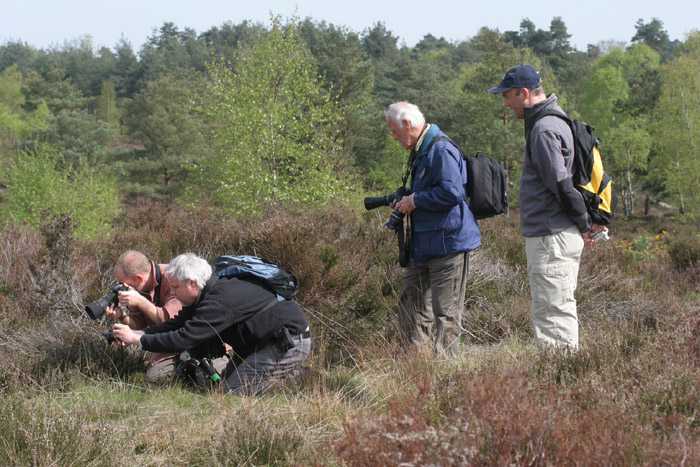 reptile photography training