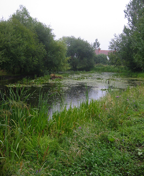 Pond Management